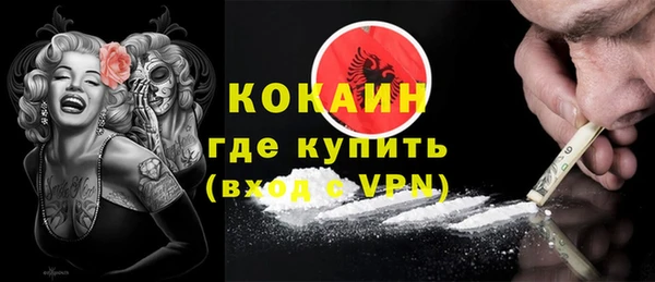 ПСИЛОЦИБИНОВЫЕ ГРИБЫ Вязники