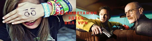 ПСИЛОЦИБИНОВЫЕ ГРИБЫ Вязники