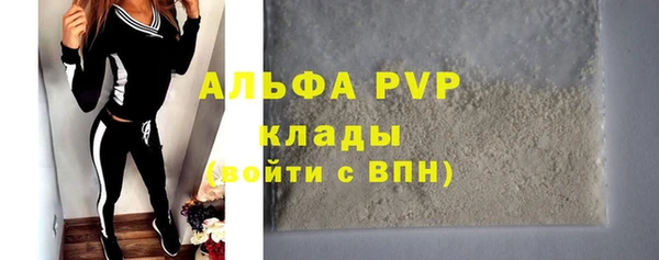 СК Вязьма