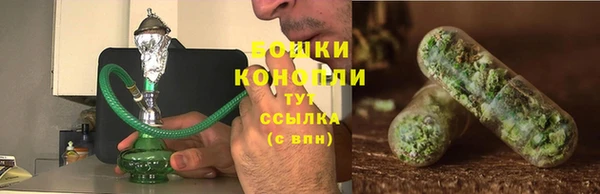 ПСИЛОЦИБИНОВЫЕ ГРИБЫ Вязники