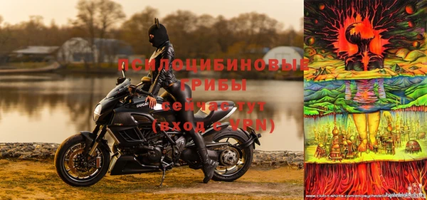 ПСИЛОЦИБИНОВЫЕ ГРИБЫ Вязники