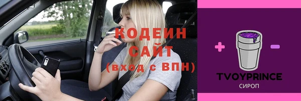 СК Вязьма