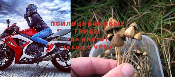 СК Вязьма