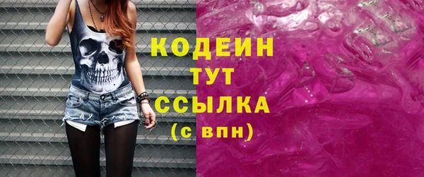 СК Вязьма