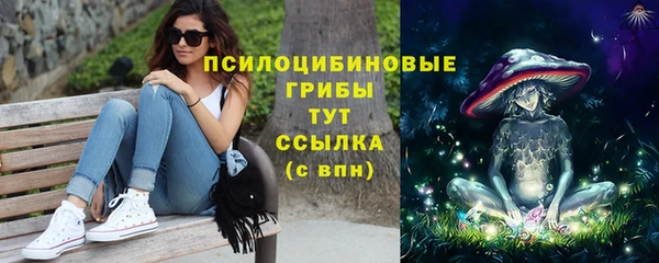 СК Вязьма