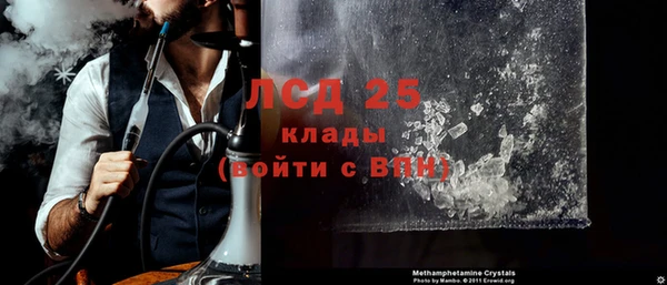 ПСИЛОЦИБИНОВЫЕ ГРИБЫ Вязники