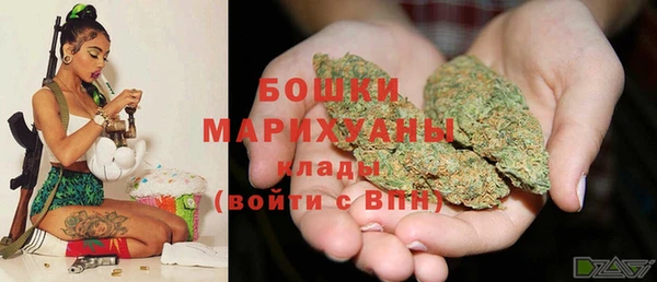 ПСИЛОЦИБИНОВЫЕ ГРИБЫ Вязники