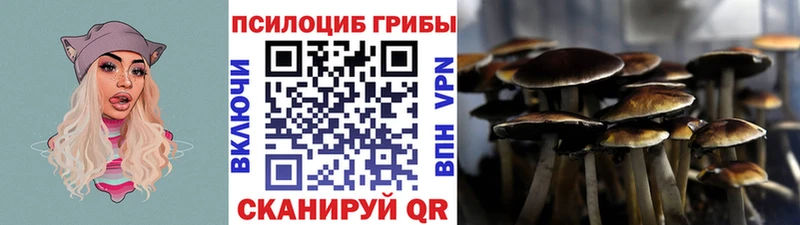 Псилоцибиновые грибы MAGIC MUSHROOMS цены наркотик Красногорск